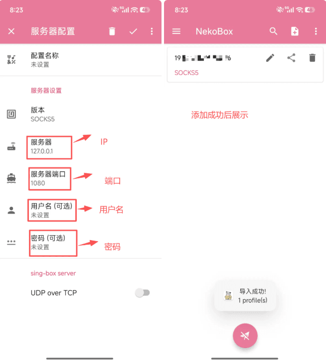 NekoBox 配置教程 - 手动填写代理连接信息