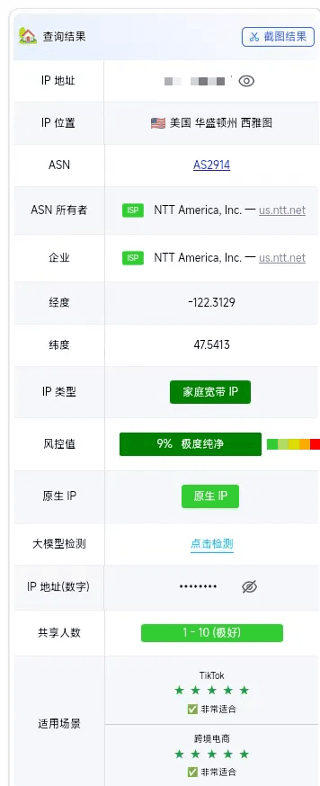NekoBox 配置教程 - 确认当前出口 IP