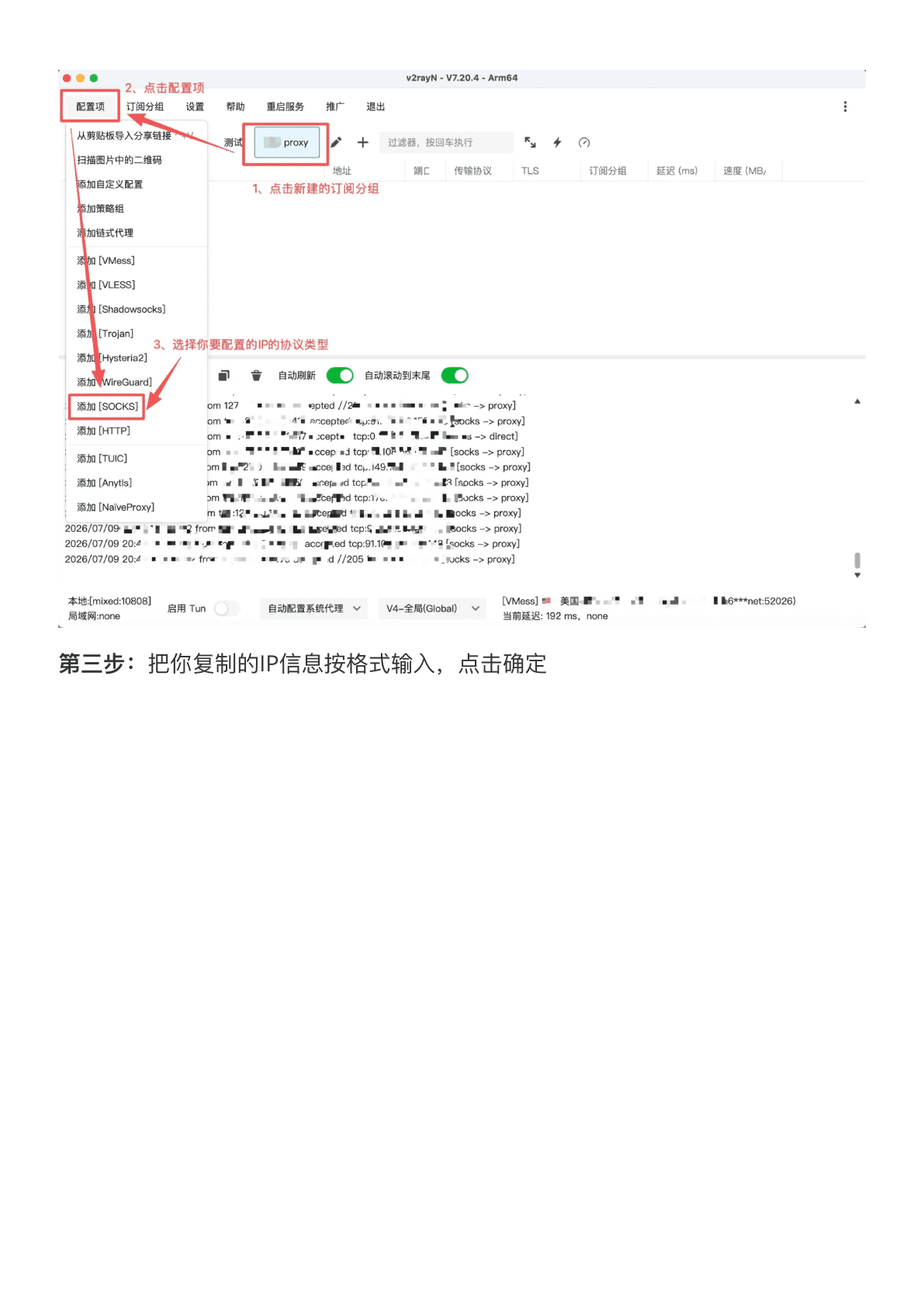 v2rayN 配置教程 - 从代理列表复制 IP 信息
