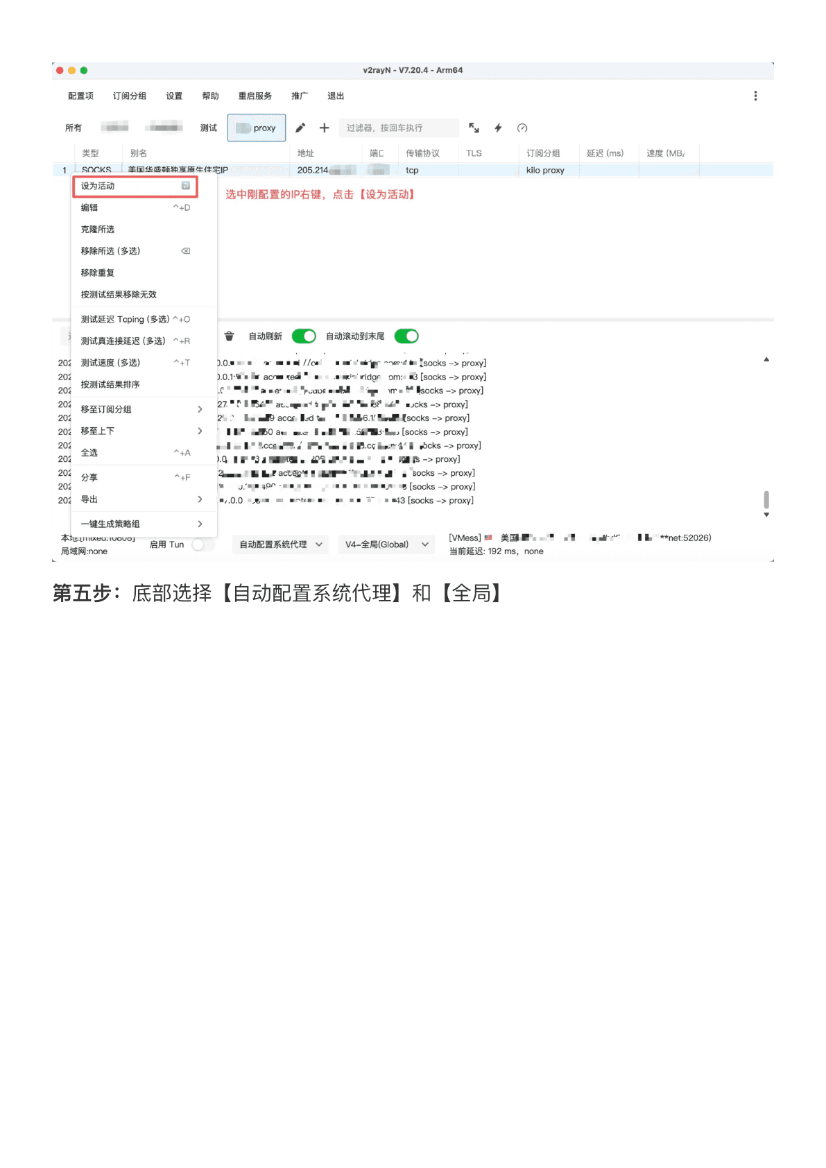v2rayN 配置教程 - 填写主机、端口、账号和密码